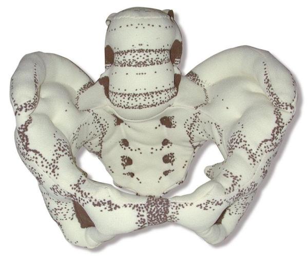 Erler-Zimmer Beckenmodell aus Stoff