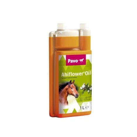 Tier, Pferd, Säugetier