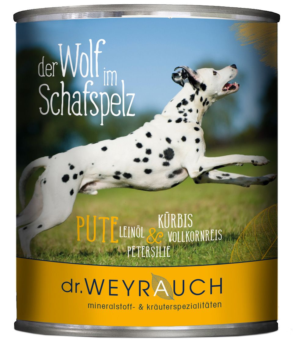 Tier, Hund, Säugetier, Haustier