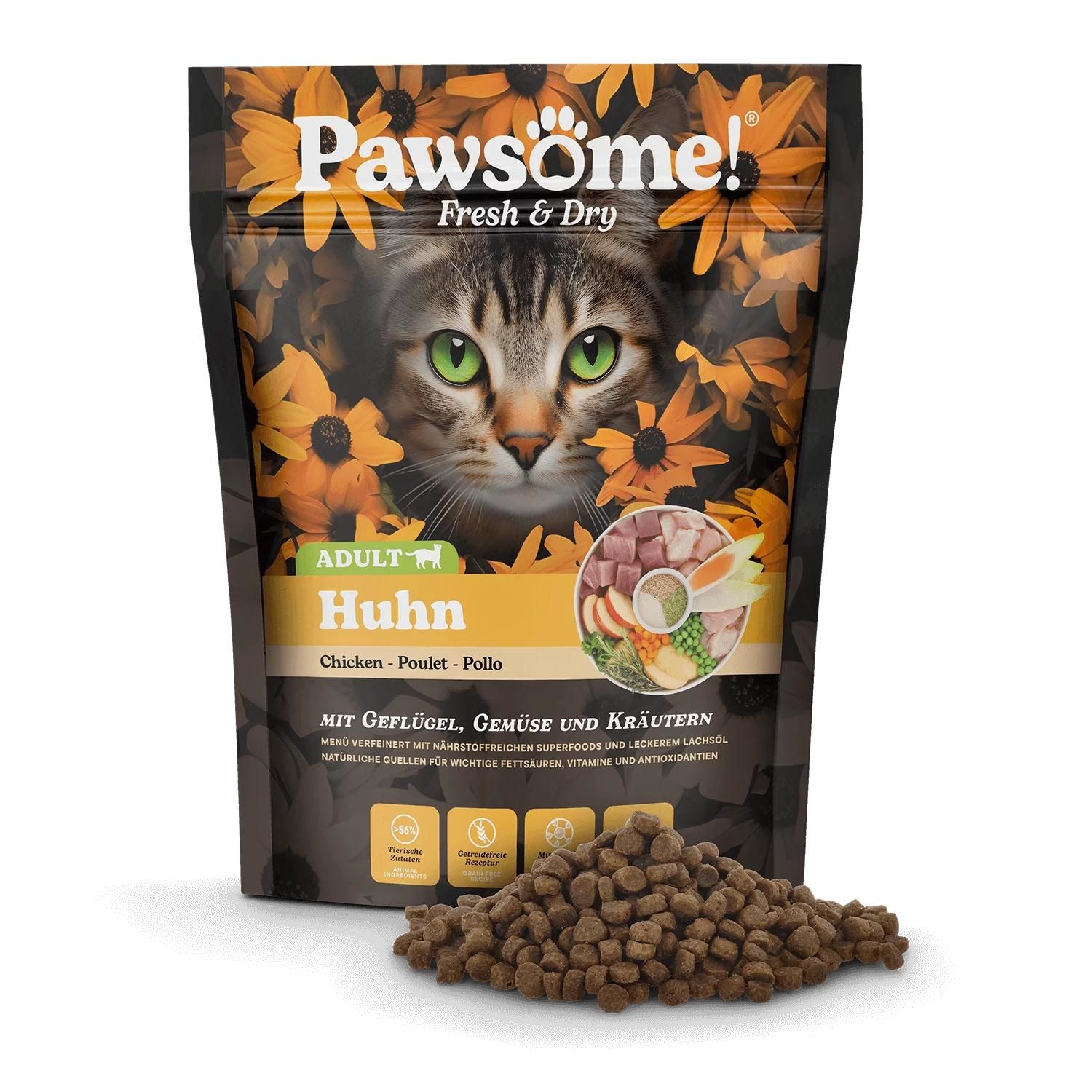 Tier, Katze, Säugetier, Haustier