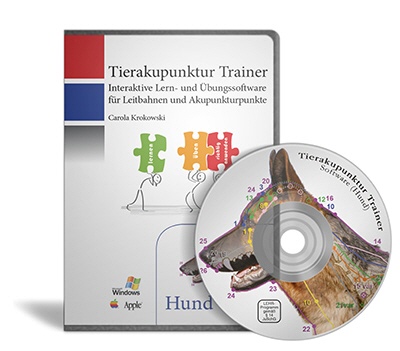 TCVM-Diagnosestellung (Pferd)