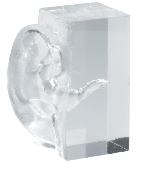 Erler-Zimmer Transparentes Ohrmodell