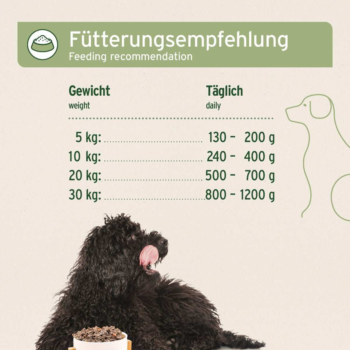 Hund, Säugetier, Haustier, Text