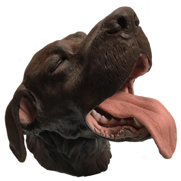 Erler-Zimmer Chirurgisches Zahnmodell Hund
