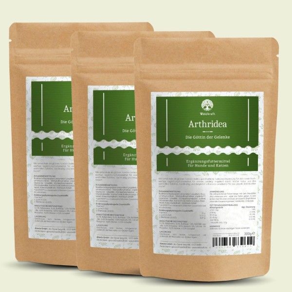 Buch, Veröffentlichung