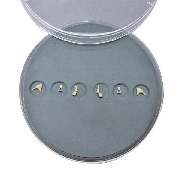 Erler-Zimmer Ohrknöchelchen-Set