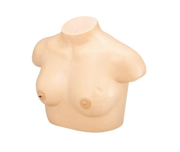 Erler-Zimmer Brustkrebs-Tastmodell